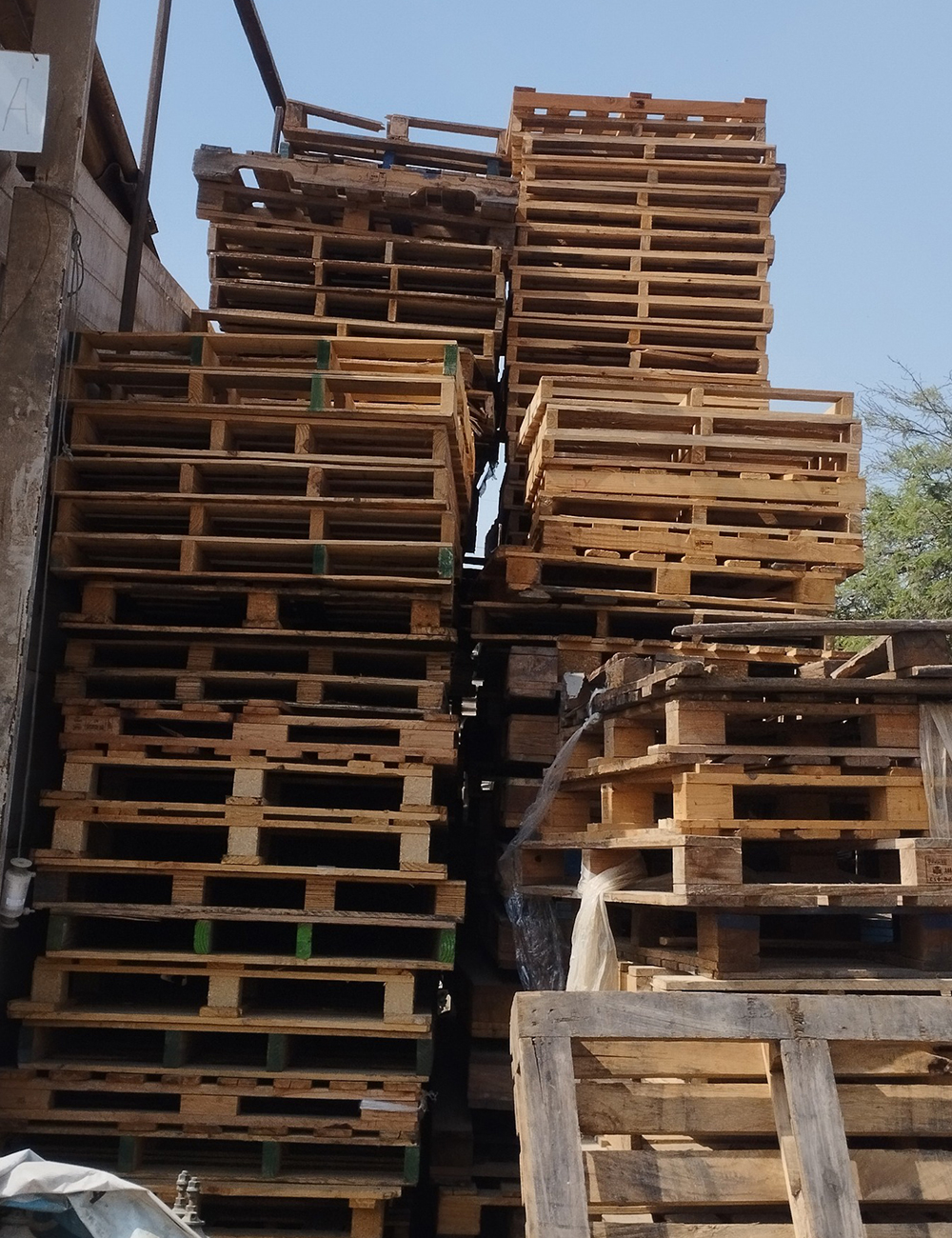 Grandes torres de pallets de madera usados almacenados para su reparación y reciclaje en Caryma.